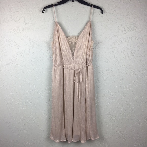 Nordstrom Dresses & Skirts - New Nordstrom Spirit of Grace Lace Metallic Dress